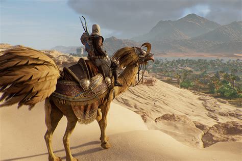 assassins creed chocobo